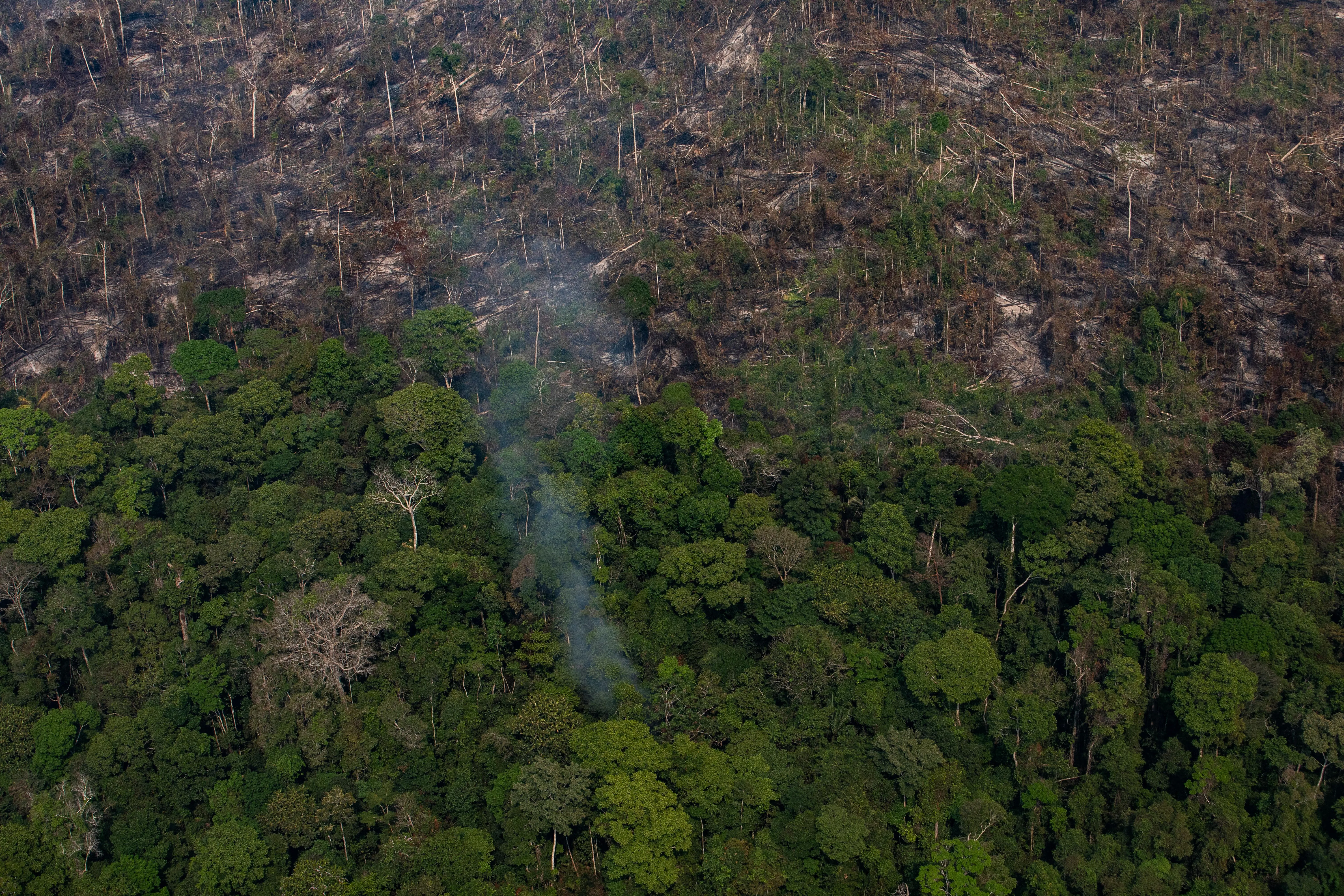 пожежа Амазонка Амазонія тропічний ліс