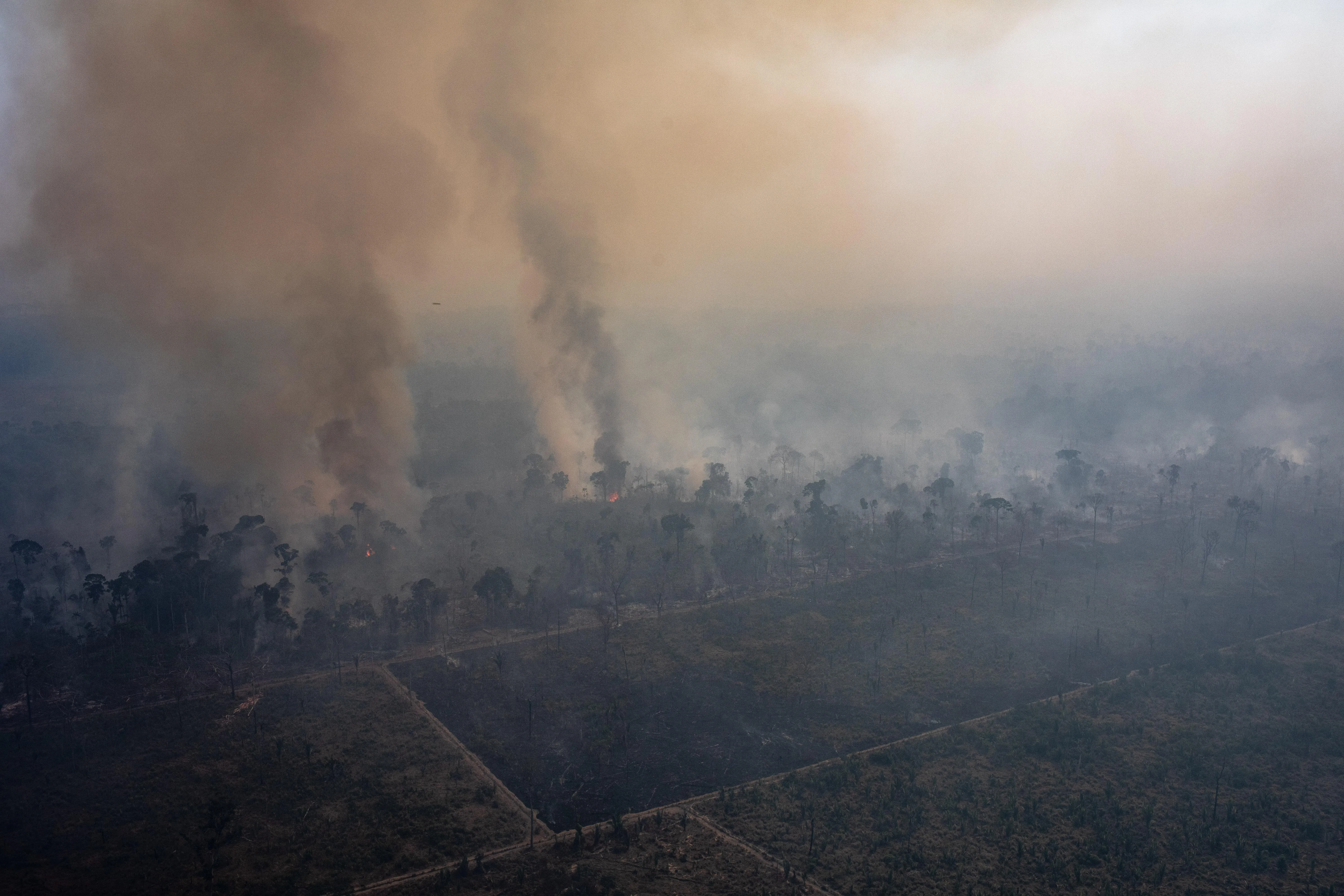 пожежа Амазонка Амазонія ліси тропічні ліси