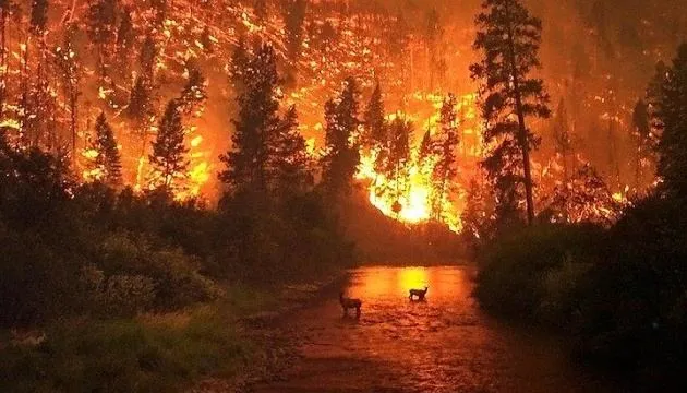 Пожежі у Сибіру, зміни клімату