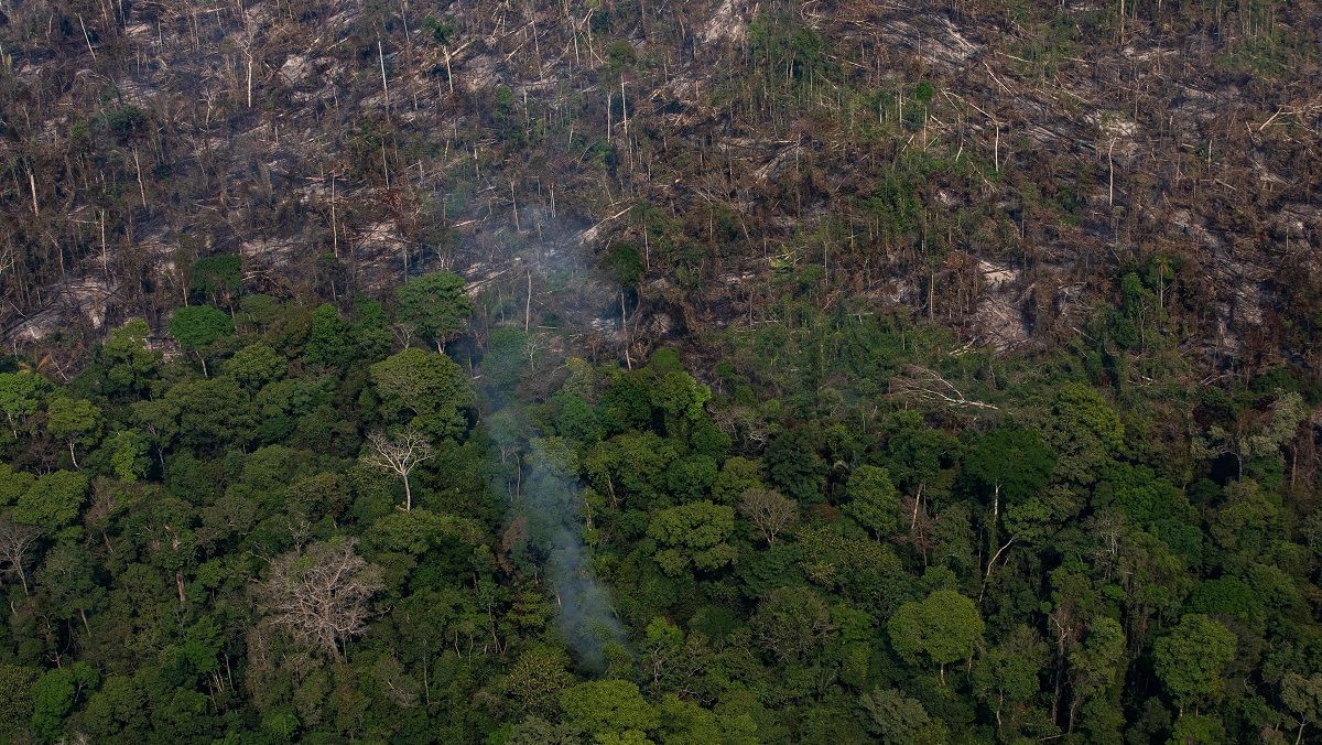 Масштабные пожары в Амазонии: президент Бразилии отказался от помощи G7