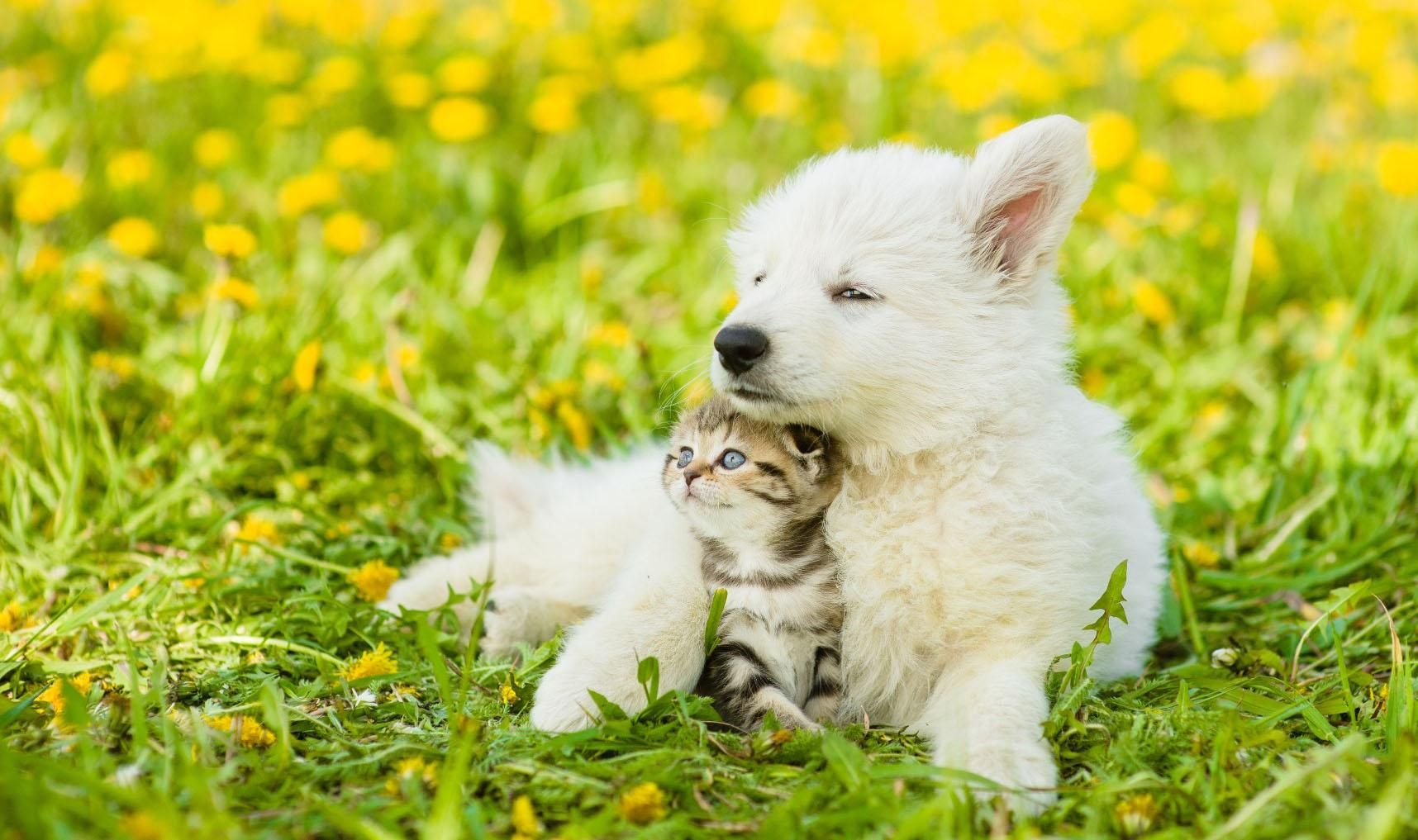 Погода 28 августа 2019 в Украине: жара спадает, но будет солнце Погода 28 августа 2019 в Украине: жара спадает, но будет солнце