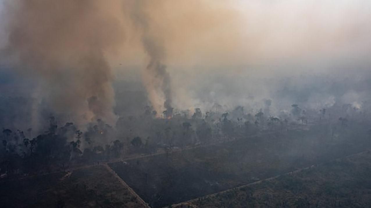 Площадь пожарищ амазонских лесов выросла на 83 %: фото и видео