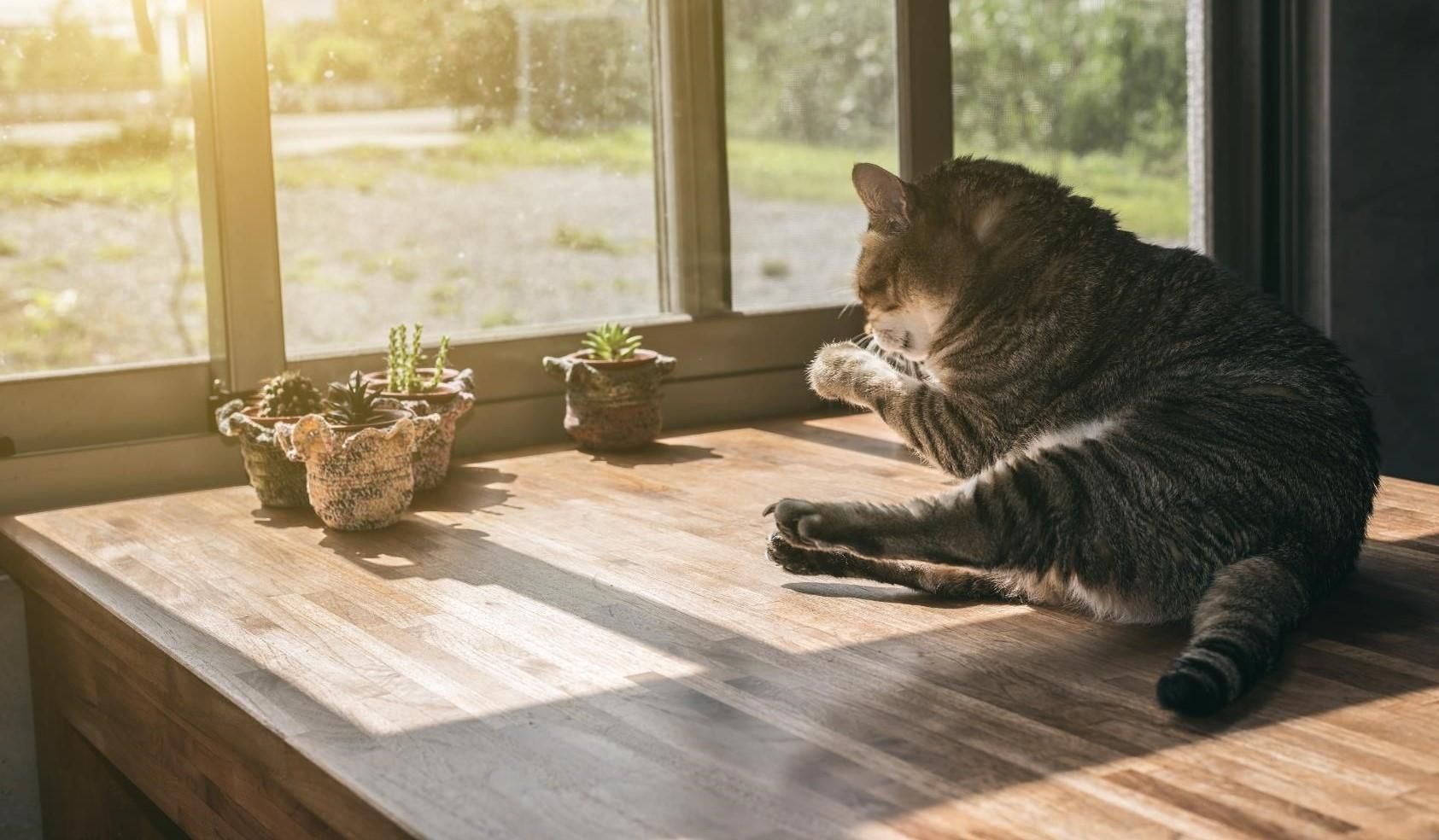 Погода 1 сентября 2019 Украина – прогноз погоды синоптика Погода 1 сентября 2019 Украина – прогноз погоды синоптика