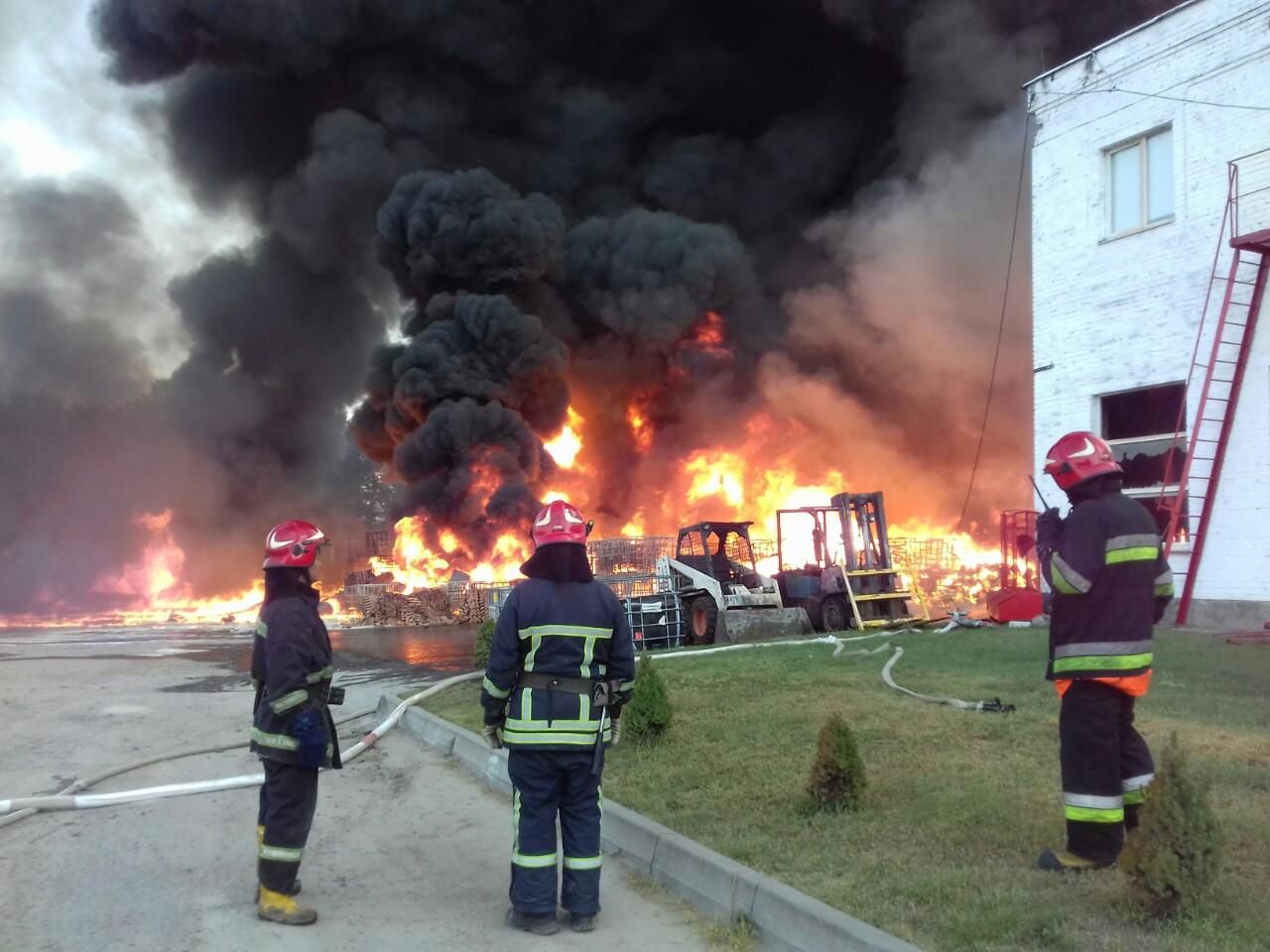Пожар под Львовом 30 августа 2019 ликвидировали: видео, фото 