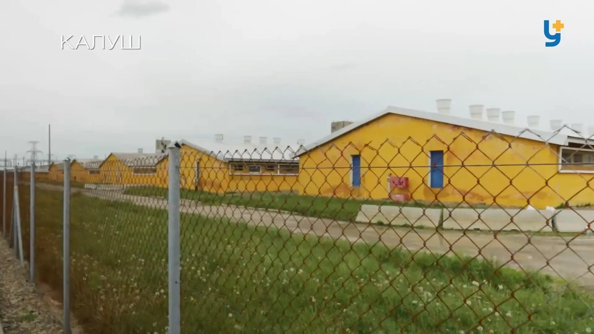 калуш завод калуш завод