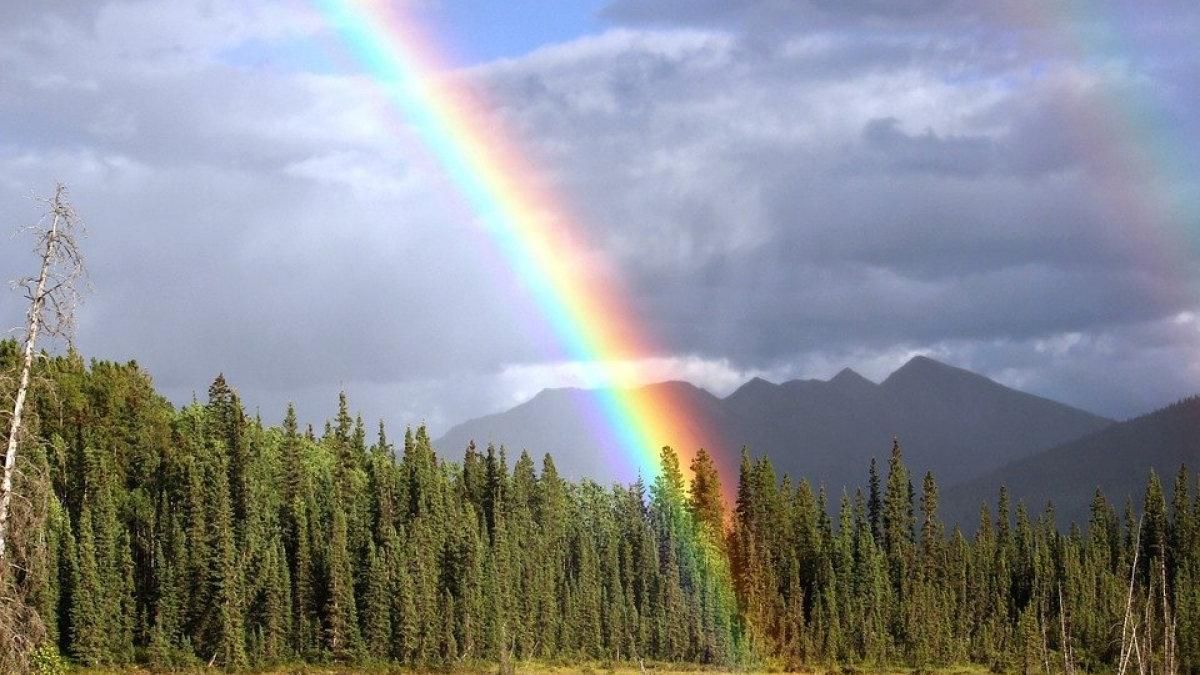 Погода 4 вересня 2019 Україна: якою буде погода – синоптик Погода 4 вересня 2019 Україна: якою буде погода – синоптик