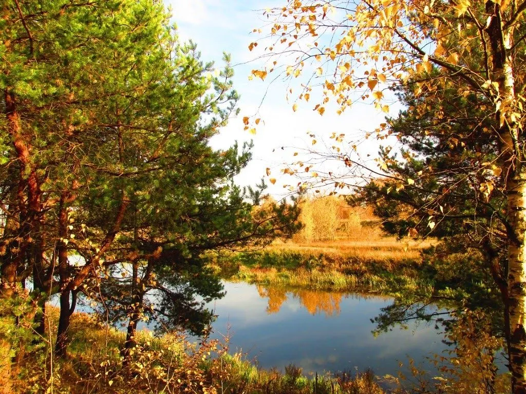 Бабине літо в Україні 2019 Бабине літо в Україні 2019