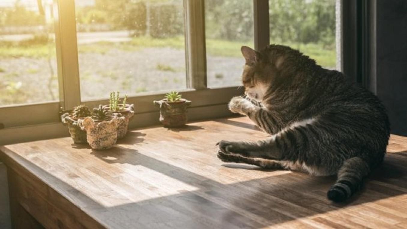 Прогноз погоды 7 сентября 2019 Украина – какую погоду обещают синоптики Прогноз погоды 7 сентября 2019 Украина – какую погоду обещают синоптики