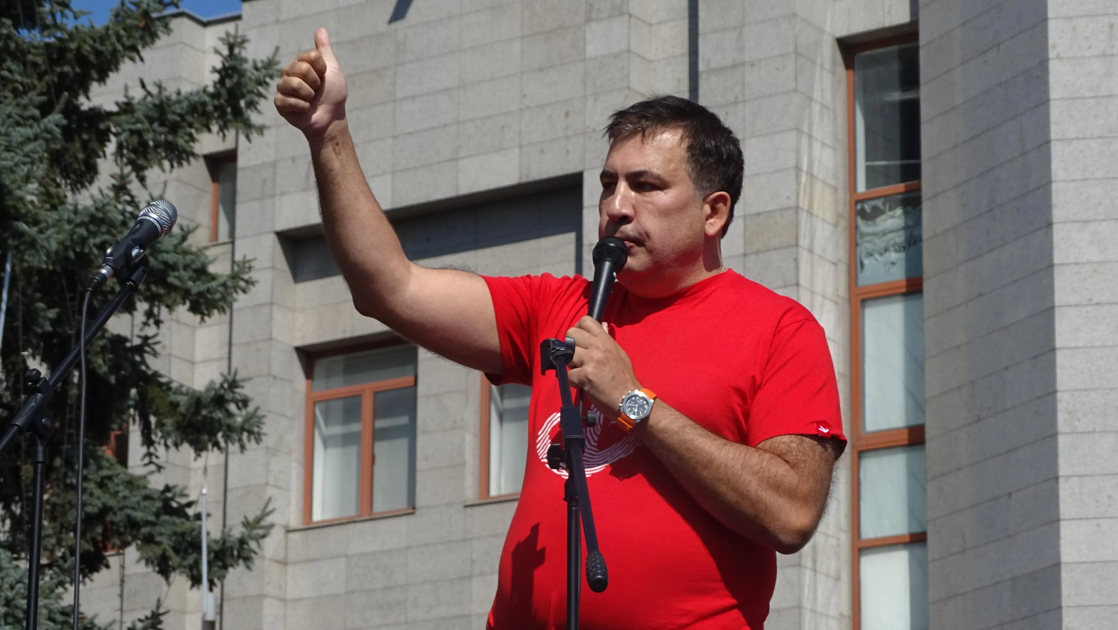 Саакашвілі Саакашвілі