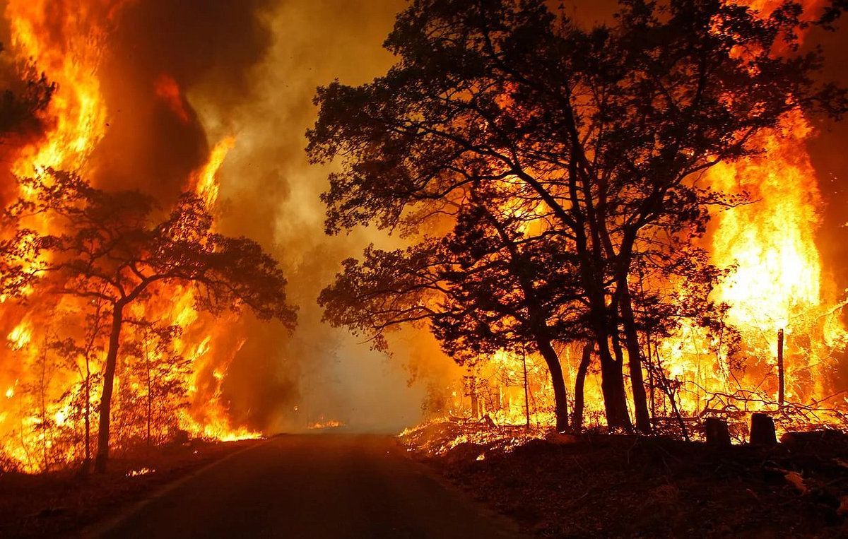 Дихати на Землі буде нічим, – Яковина про загрозу пожеж у РФ та Бразилії