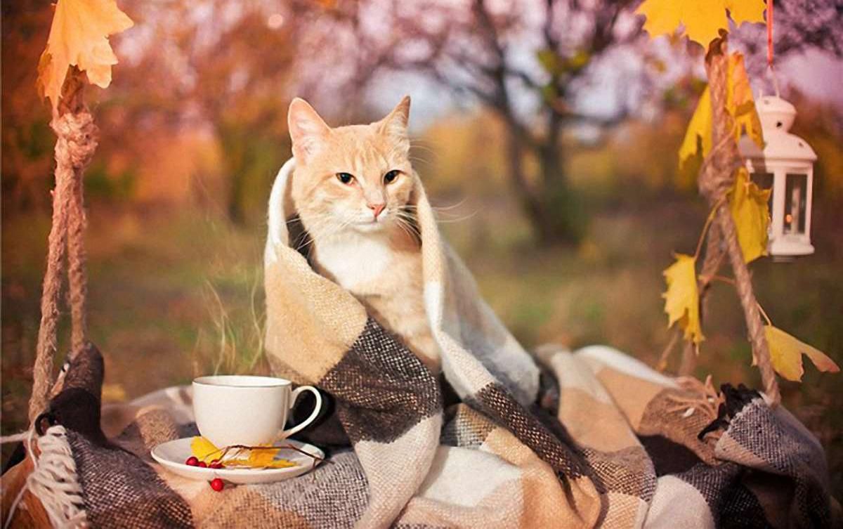 Когда похолодает в Киеве и городах Украины – прогноз погоды Когда похолодает в Киеве и городах Украины – прогноз погоды