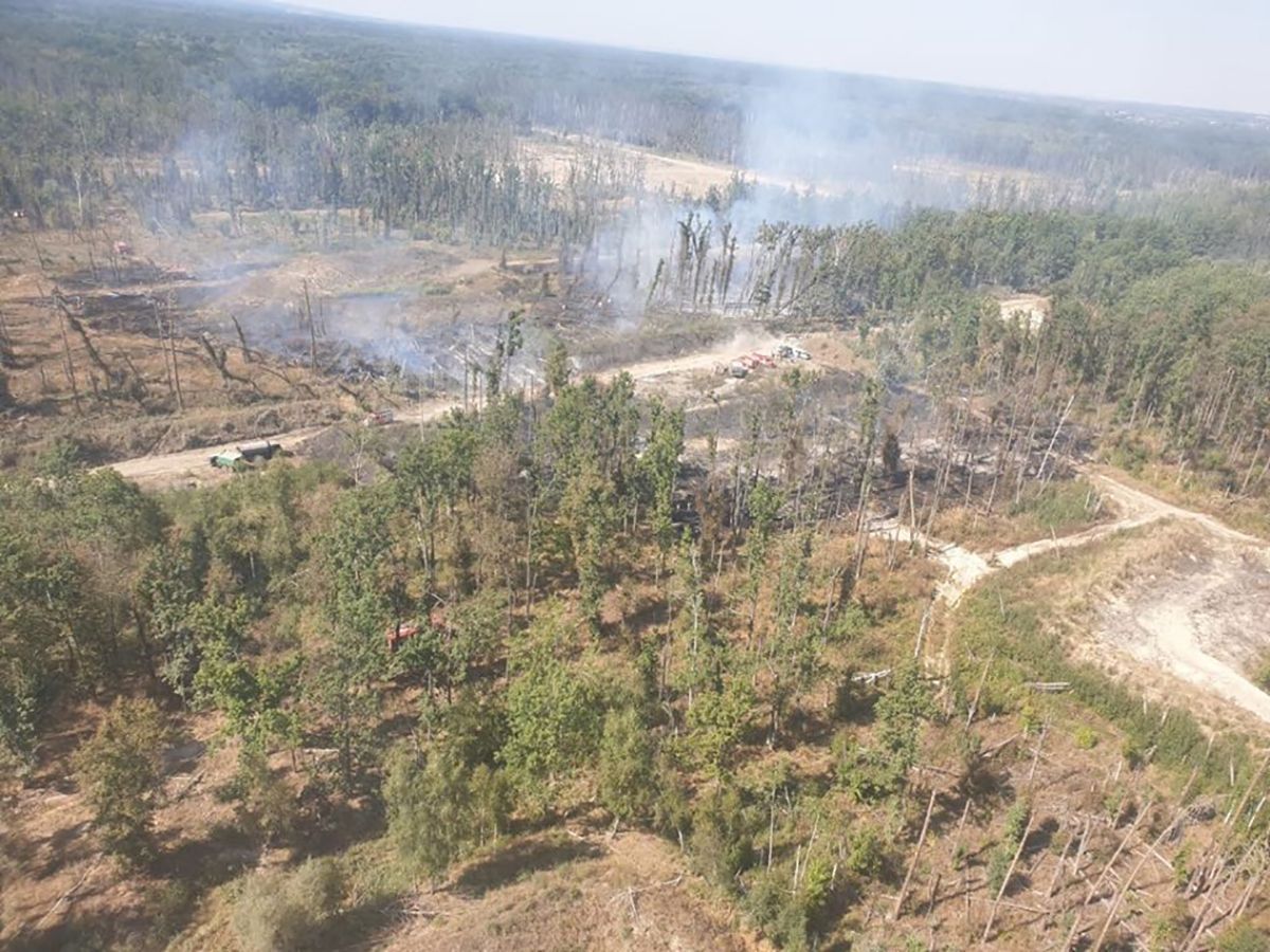Пожар и взрывы на военных складах в Калиновке: что известно – фото
