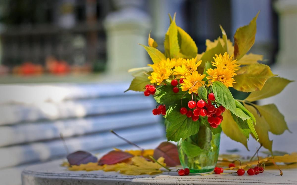 Погода 15 вересня 2019 Україна – прогноз погоди від синоптика Погода 15 вересня 2019 Україна – прогноз погоди від синоптика