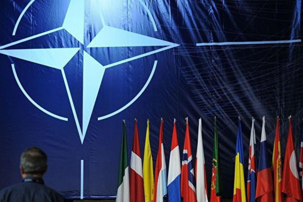 Поздравление Сенцова с освобождением и морские учения в Галифаксе: что рассказала спикер НАТО