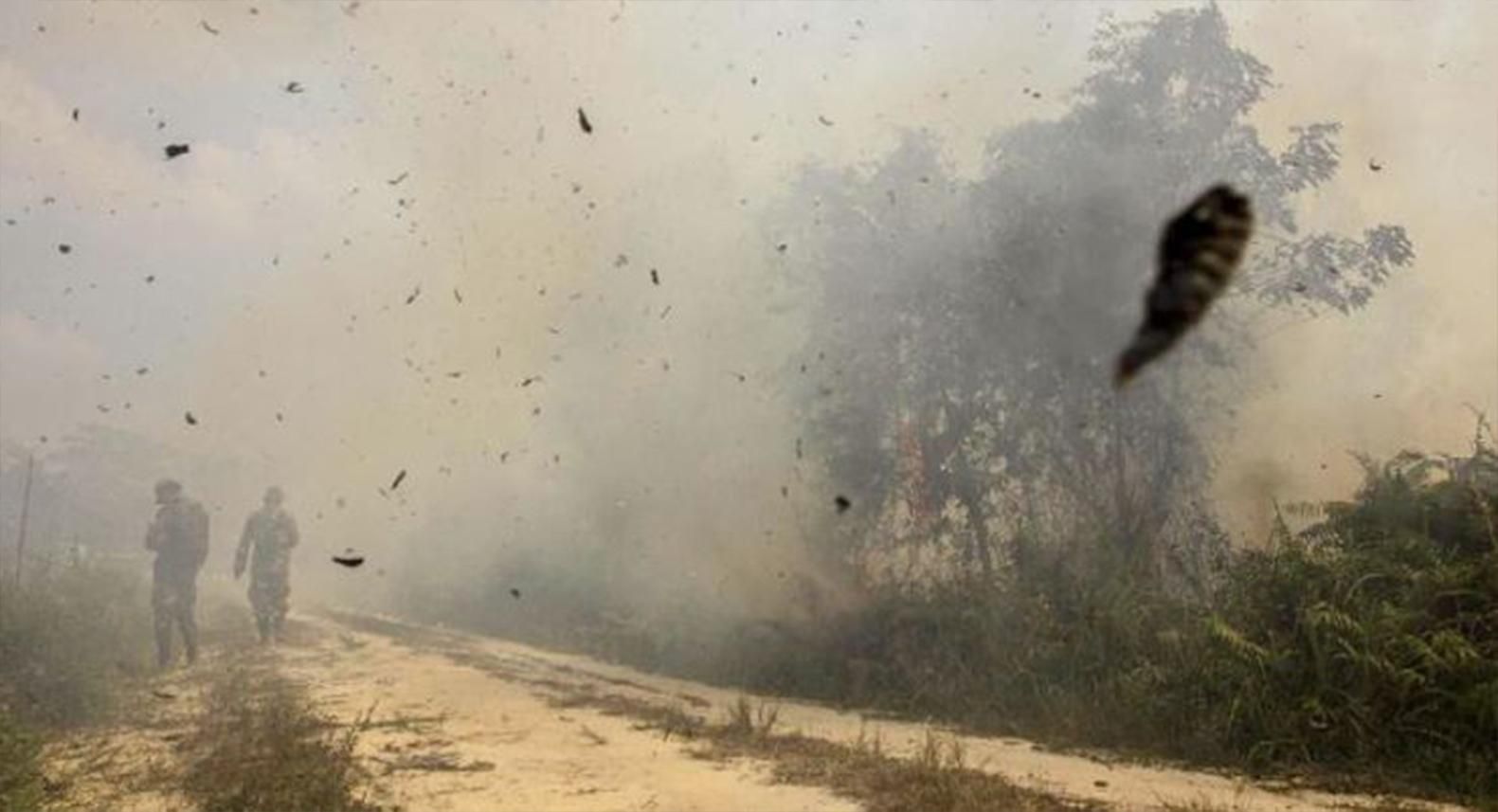 Індонезію та Малайзію накрив смог після пожеж, які влаштовують бізнесмени: шокуючі фото та відео