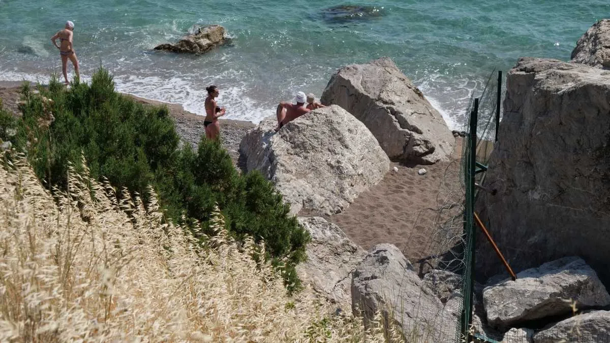 ласпи колючий дріт ласпи колючий дріт