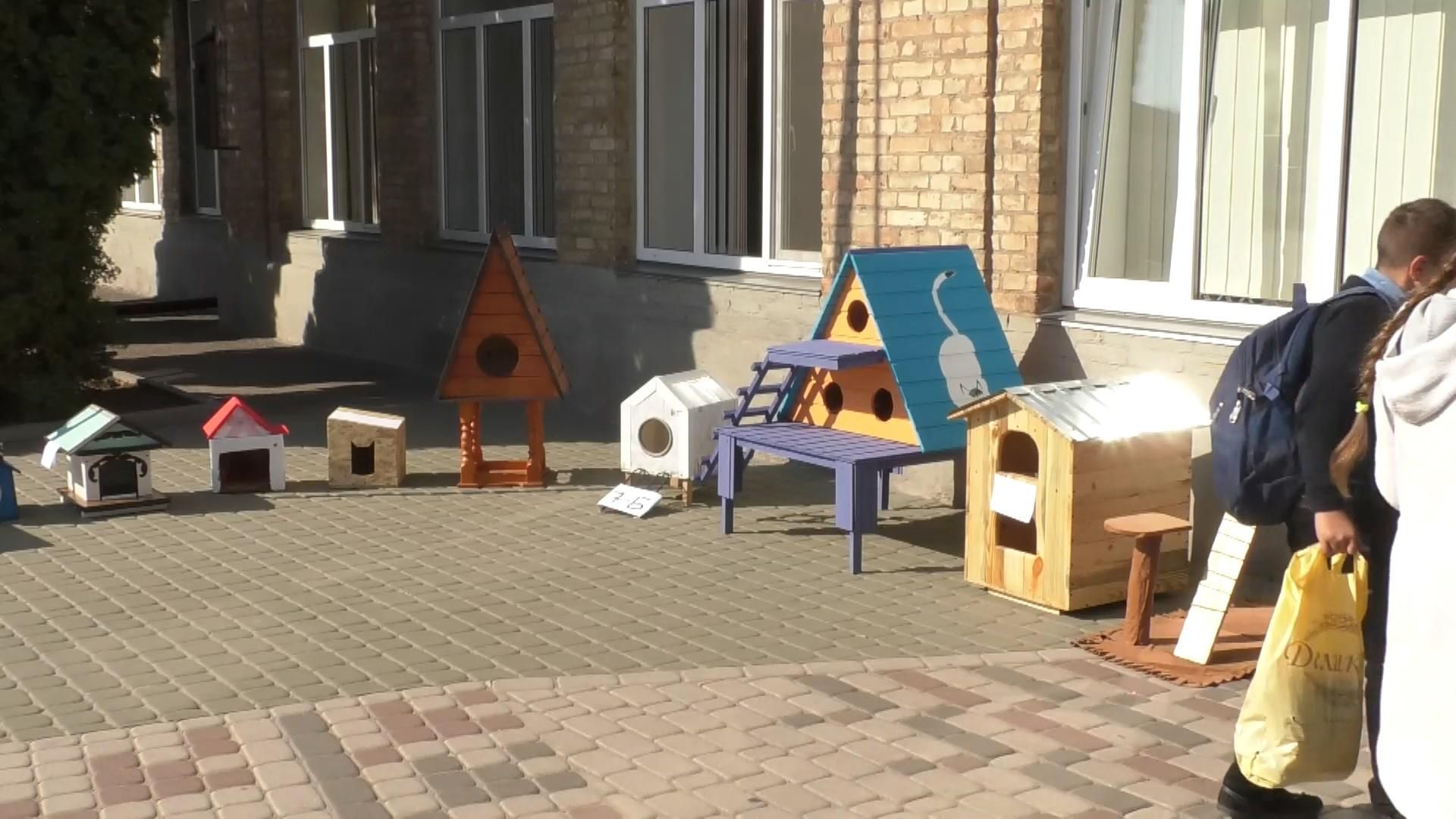 Школярі власноруч роблять дерев'яні будиночки для бездомних котів – фото