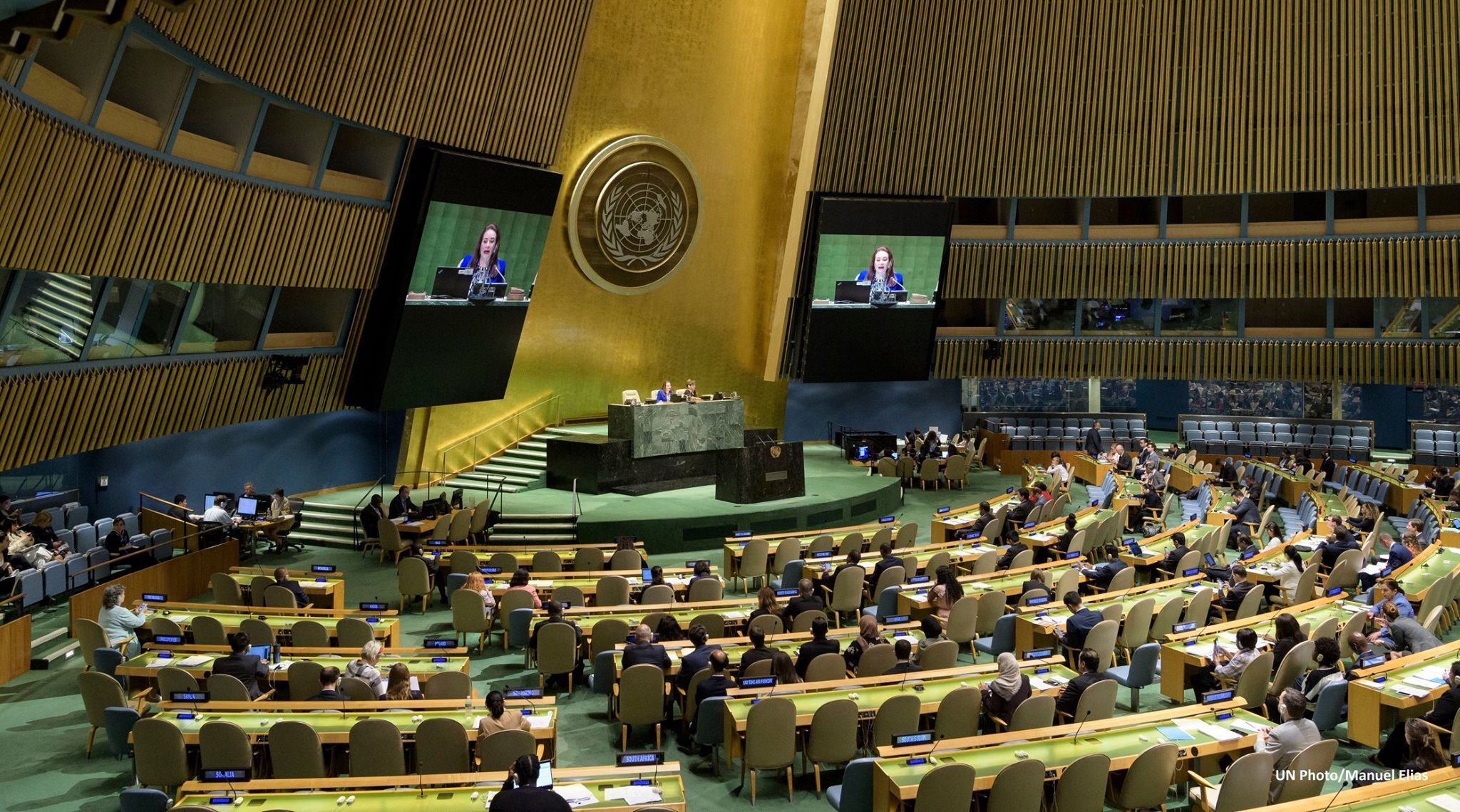 Генасамблея ООН внесла питання України до порядку денного: які країни голосували проти