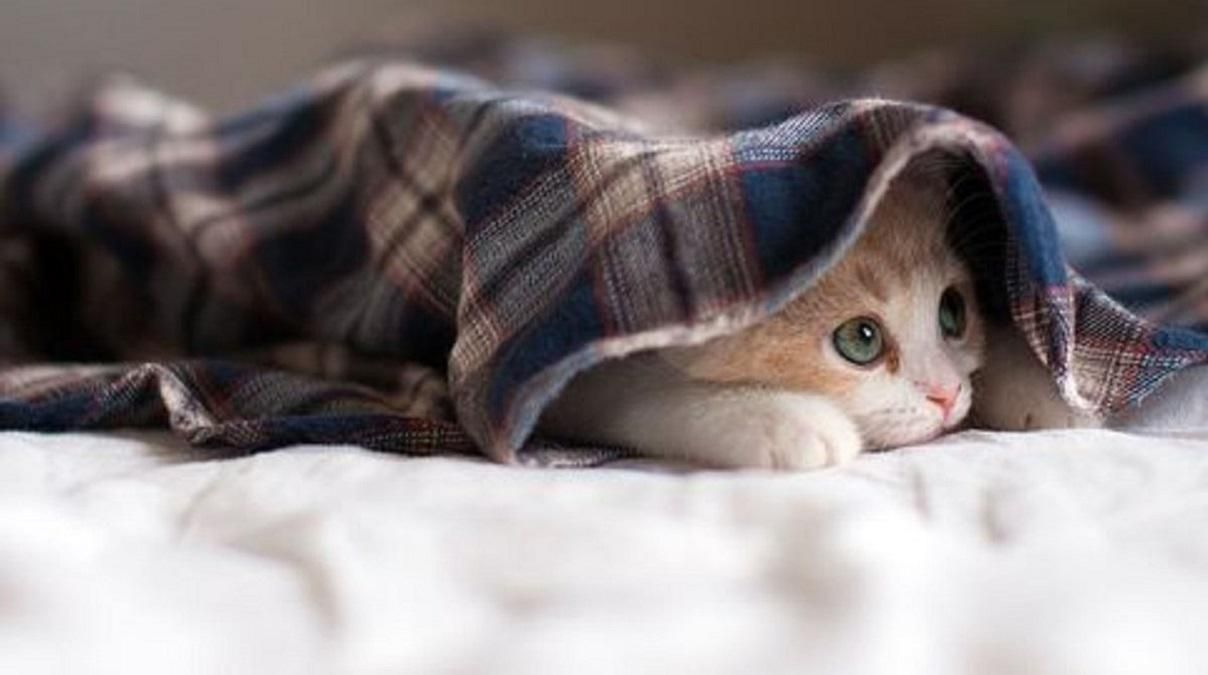 Погода 18 сентября 2019 Украина: какую погоду обещает синоптик Погода 18 сентября 2019 Украина: какую погоду обещает синоптик