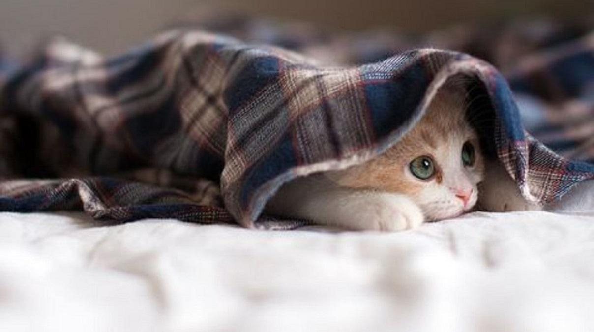 Погода 18 сентября 2019 Украина: какую погоду обещает синоптик