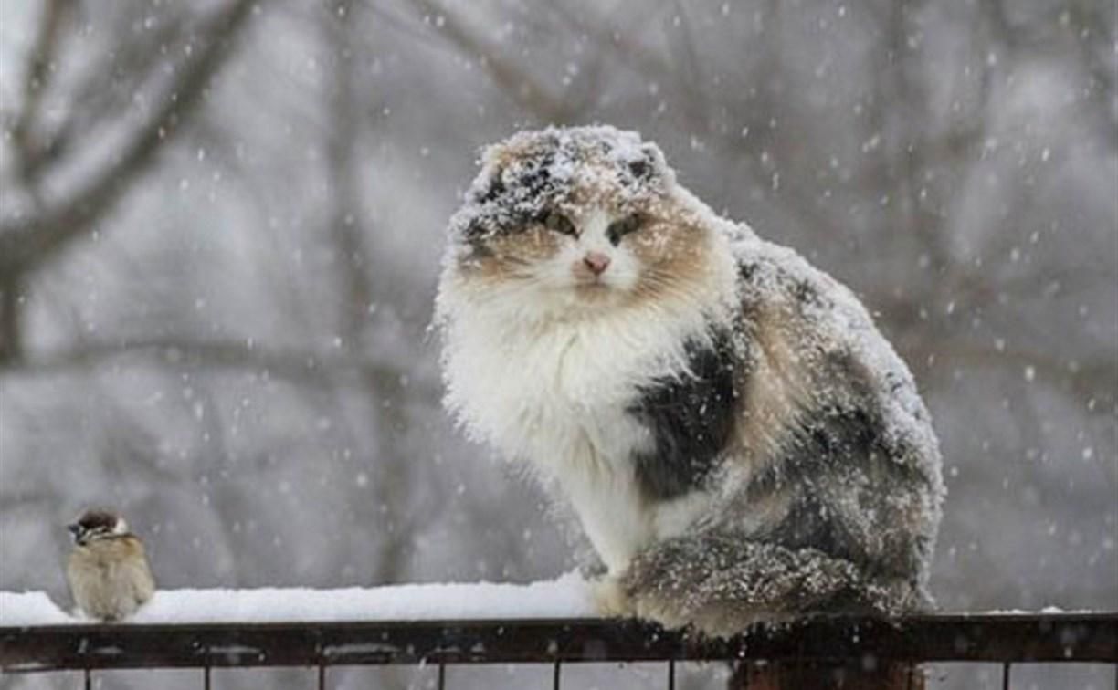 Штормовое предупреждение в Украине с 21 марта 2020 – где будет непогода Штормовое предупреждение в Украине с 21 марта 2020 – где будет непогода