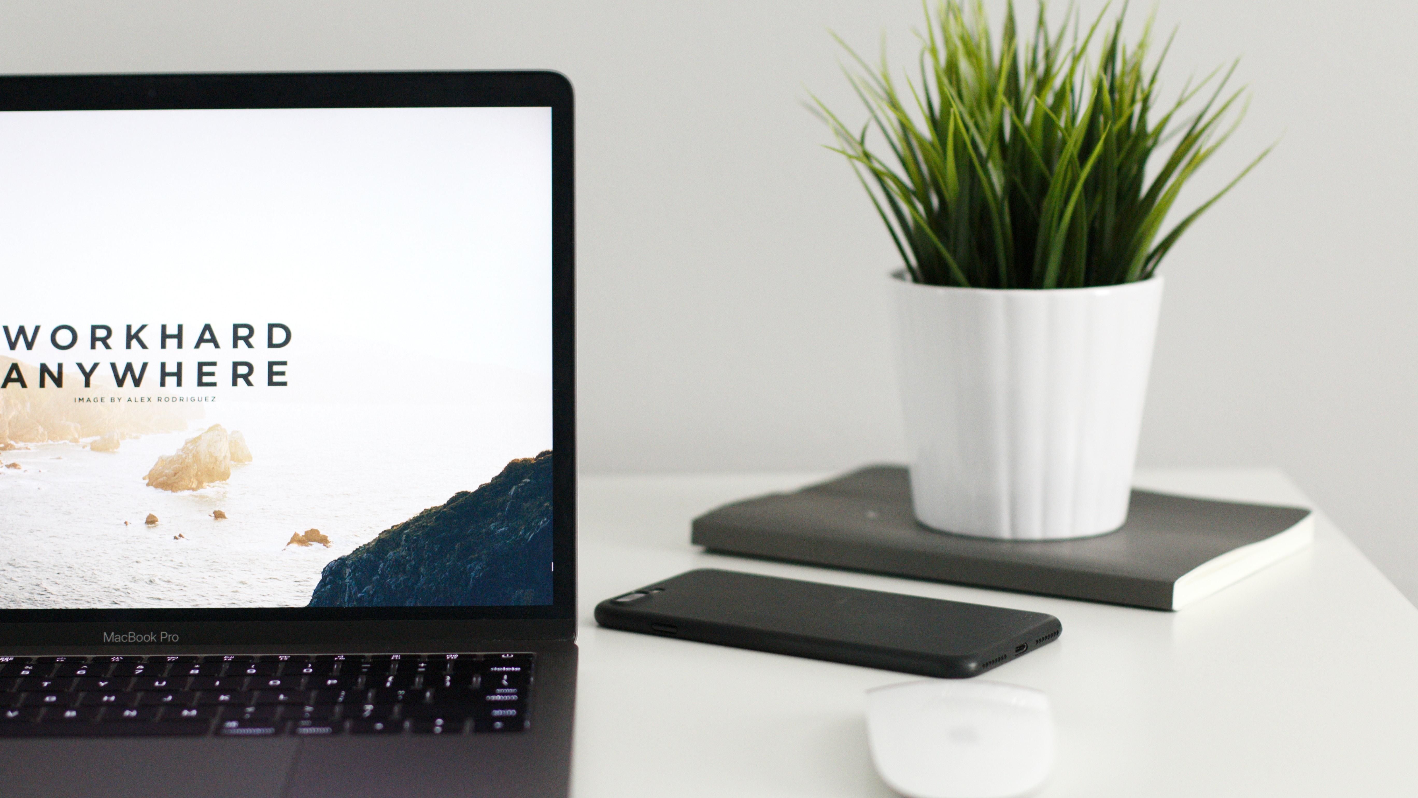 Ентузіасти відвідали локації із шпалер Apple Ентузіасти відвідали локації із шпалер Apple