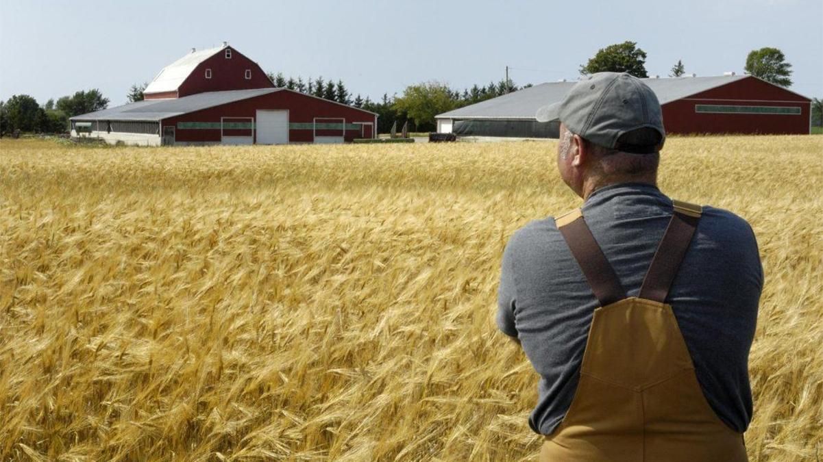 Какую помощь фермерам будет предоставлять украинская власть, чтобы заработал рынок земли Какую помощь фермерам будет предоставлять украинская власть, чтобы заработал рынок земли