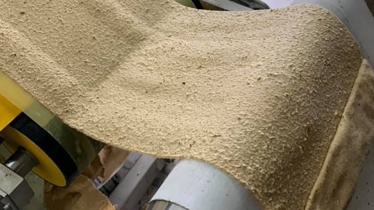 Вперше у світі: український студент запустить виробництво паперу з опалого листя Вперше у світі: український студент запустить виробництво паперу з опалого листя