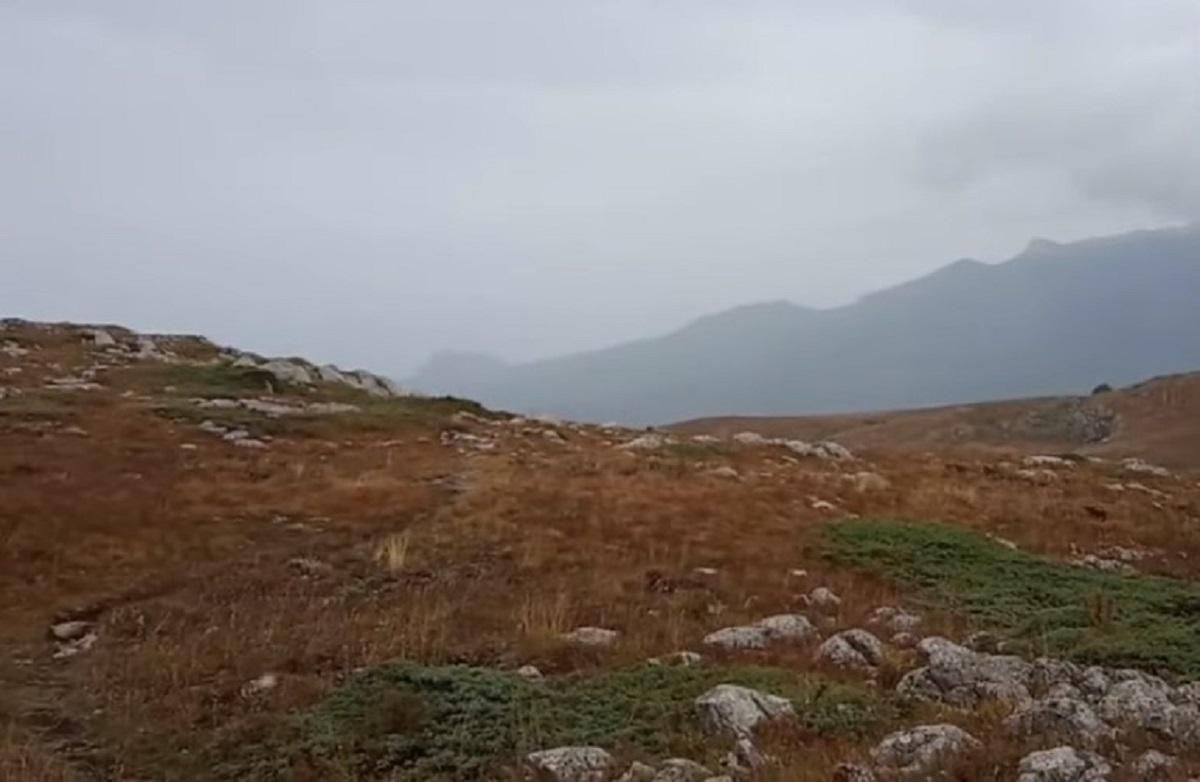 В Крыму выпал первый снег: "холодное" видео с высокогорья В Крыму выпал первый снег: "холодное" видео с высокогорья