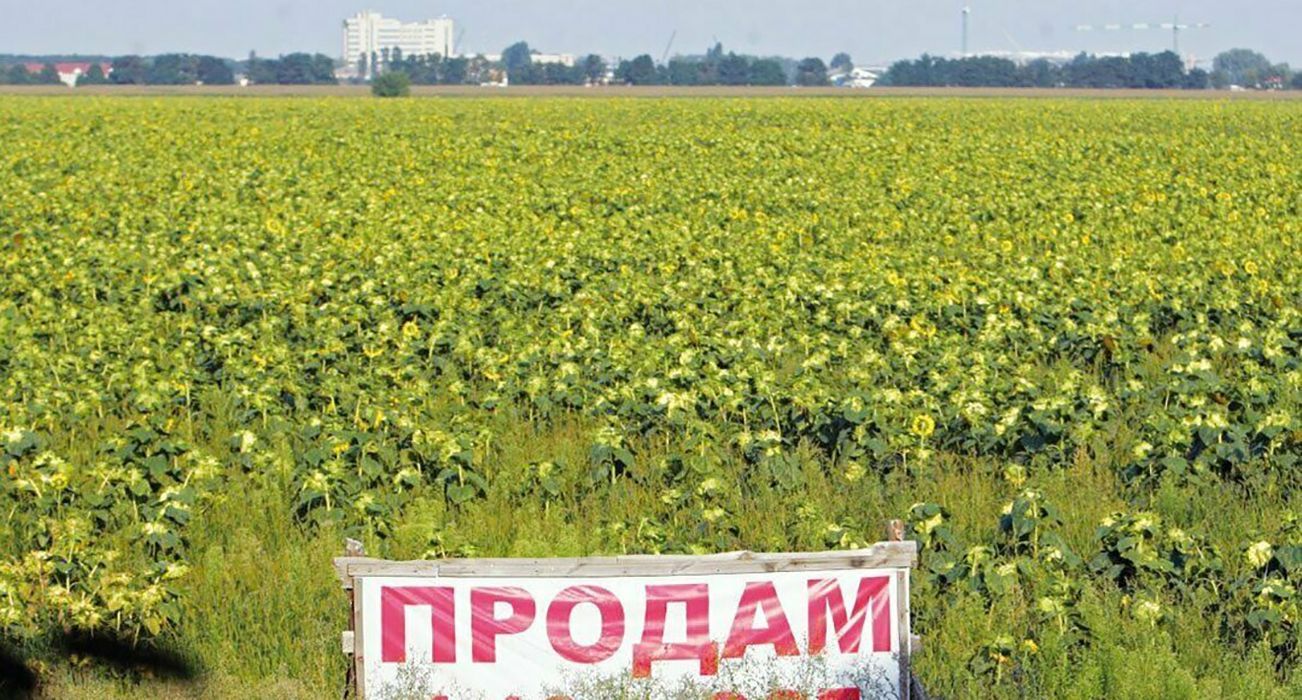 Рынок земли сельскохозяйственного назначения: куда пойдут деньги Рынок земли сельскохозяйственного назначения: куда пойдут деньги