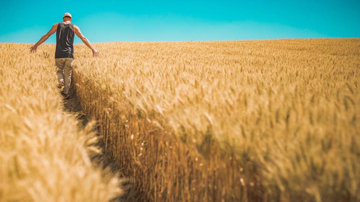 Закон о продаже земли в Украине – что Раде предлагает правительство Закон о продаже земли в Украине – что Раде предлагает правительство