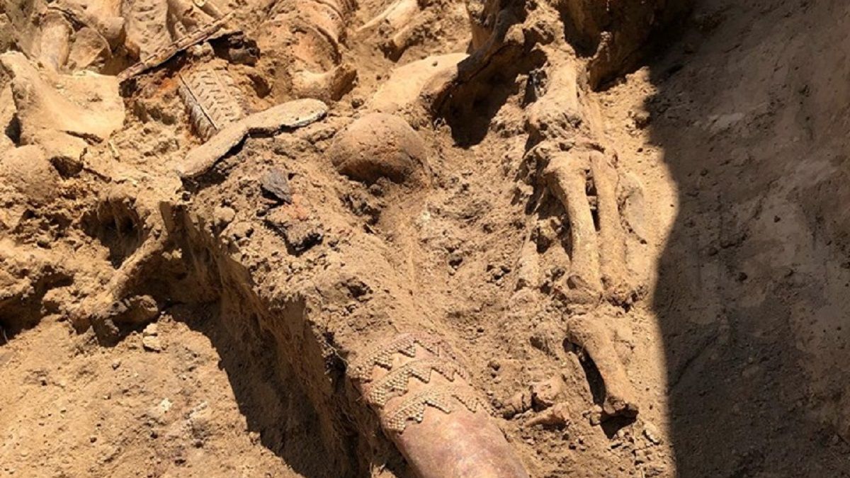 Археологи відкопали нерозграбоване поховання скіфського воїна з цінними знахідками: фото