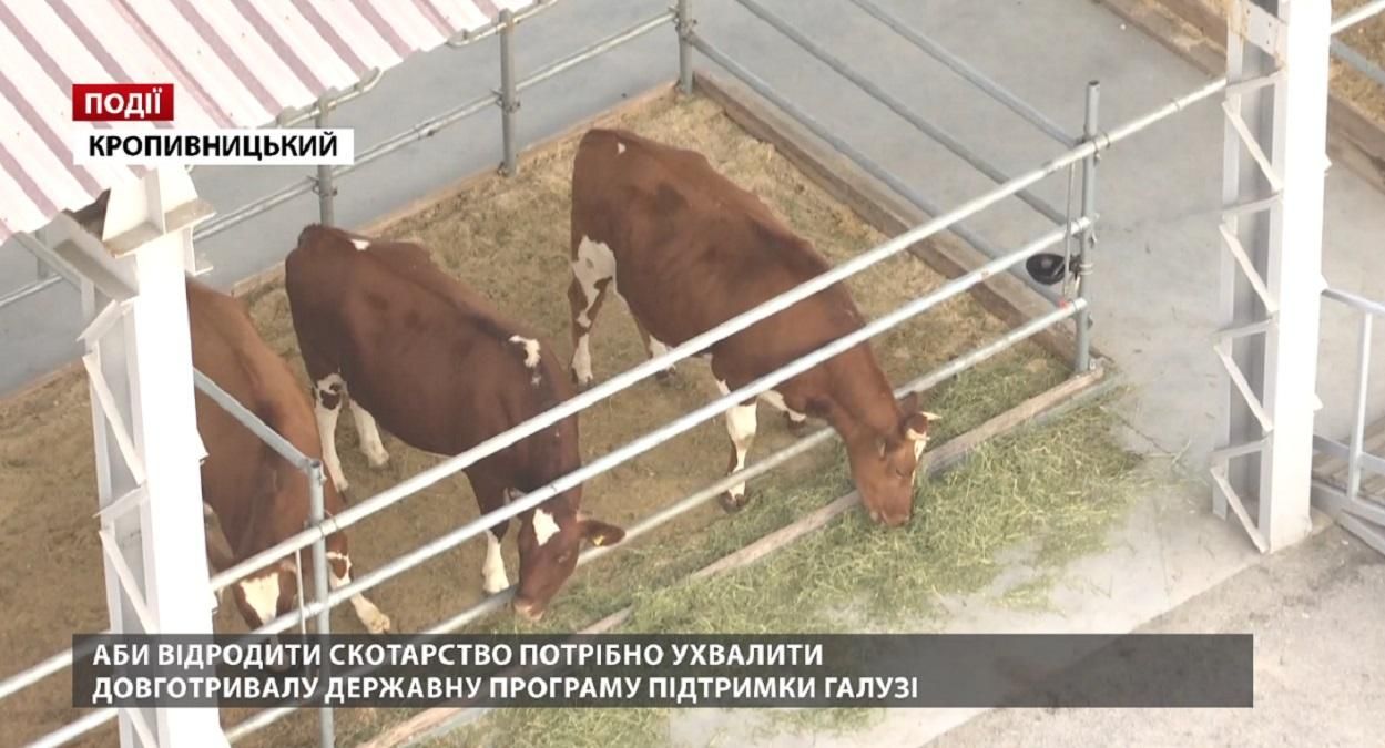 Для возрождения скотоводства надо принять долгосрочную государственную программу поддержки Для возрождения скотоводства надо принять долгосрочную государственную программу поддержки