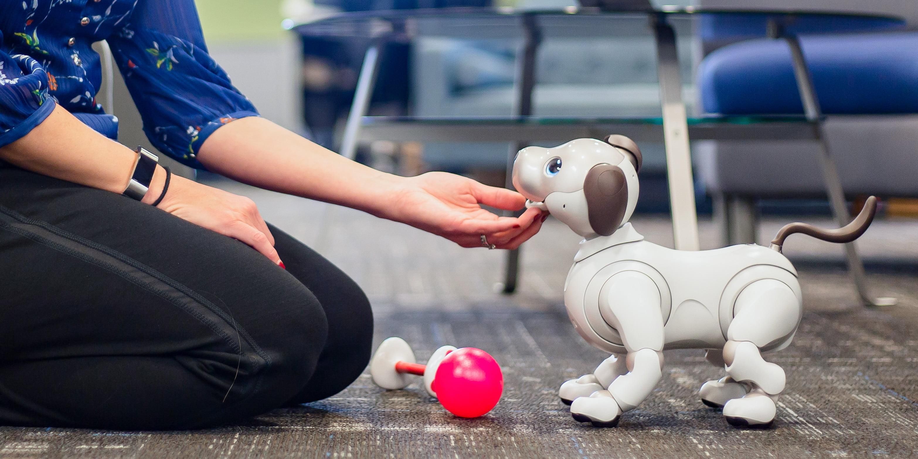 Роботов-животных сделали более реалистичными: видео Роботов-животных сделали более реалистичными: видео