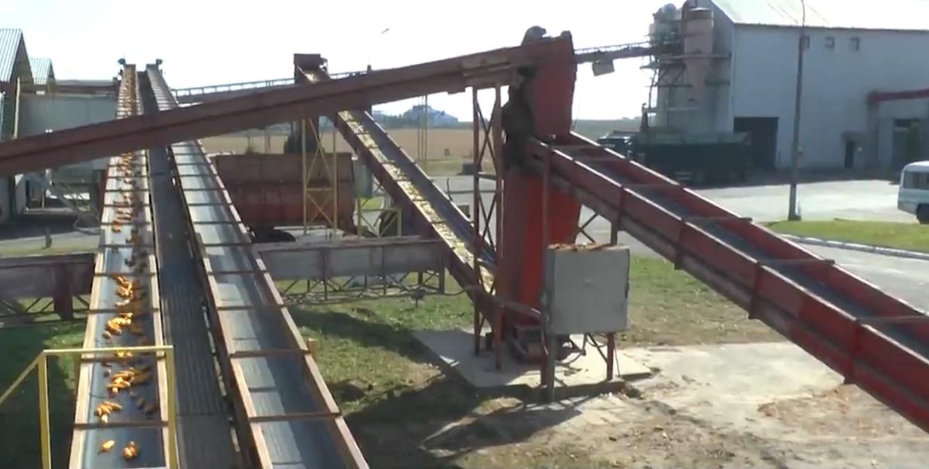 После модернизации "Укрлендфарминг" обеспечивает аграриев собственным посевным материалом После модернизации "Укрлендфарминг" обеспечивает аграриев собственным посевным материалом