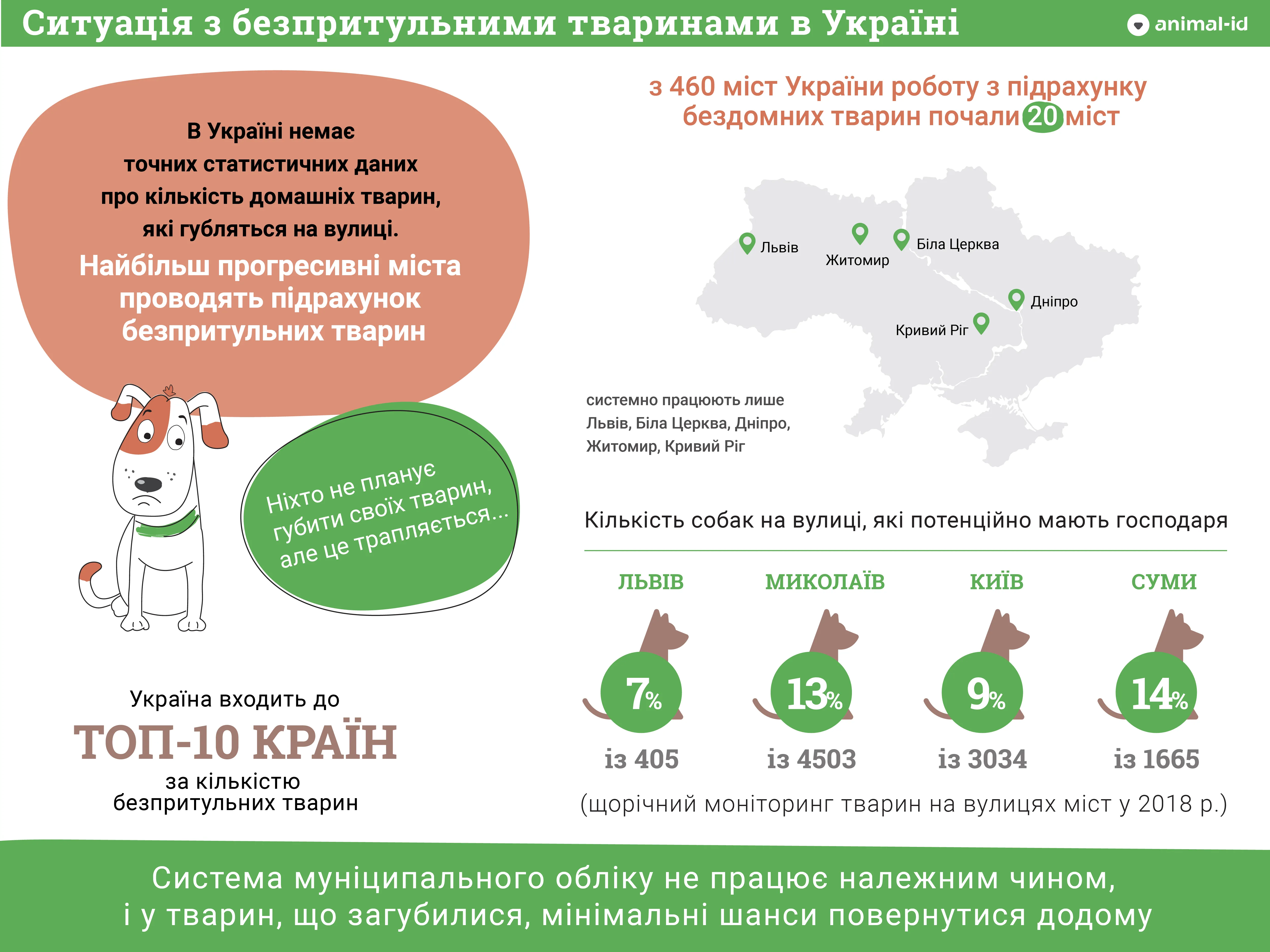 Как не потерять свое животное: практические советы специалистов - 24 Канал