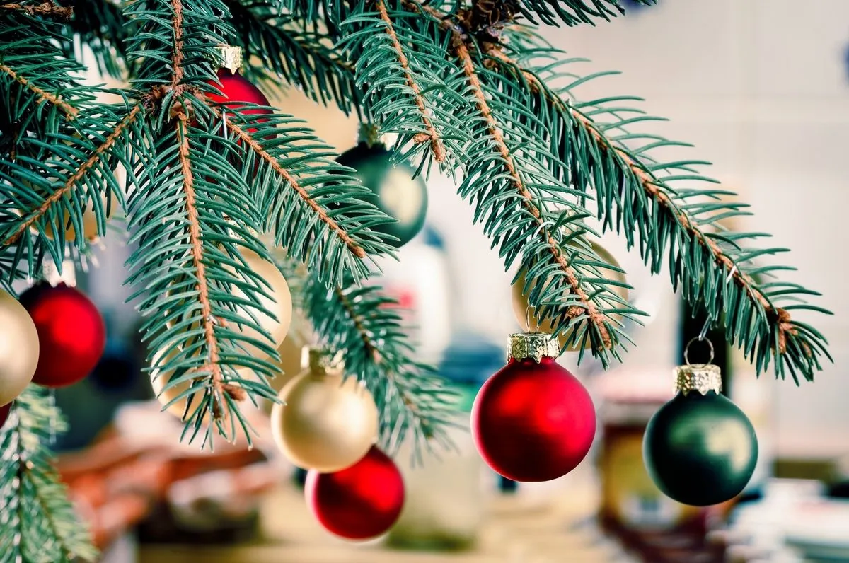 Зустрічайте Новий рік красиво! Зустрічайте Новий рік красиво!