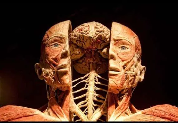 Куди піти на вихідних у Києві Куди піти на вихідних у Києві