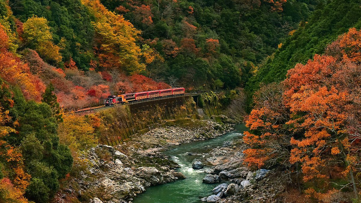 Укрзализныця назначила дополнительные поезда к осенним праздникам: список Укрзализныця назначила дополнительные поезда к осенним праздникам: список