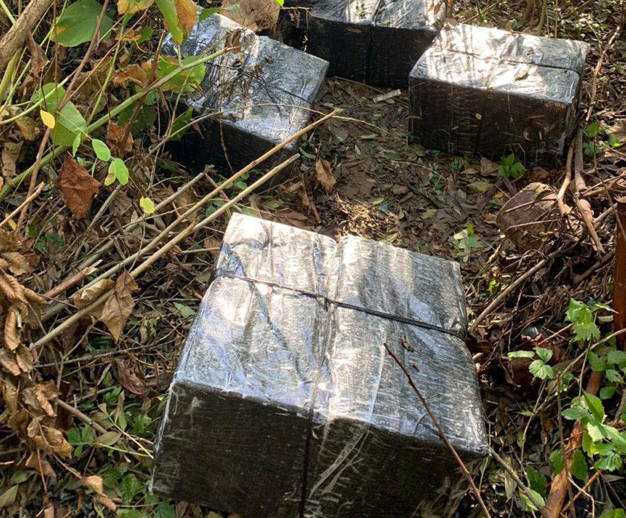 На Закарпатті молодиків в костюмах водолазів зловили на контрабанді: фото, відео На Закарпатті молодиків в костюмах водолазів зловили на контрабанді: фото, відео