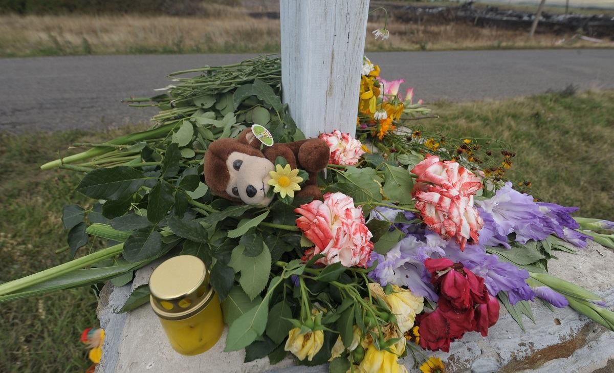 Сбитие Boeing МН17: почему Нидерланды решили рассмотреть роль Украины? Сбитие Boeing МН17: почему Нидерланды решили рассмотреть роль Украины?