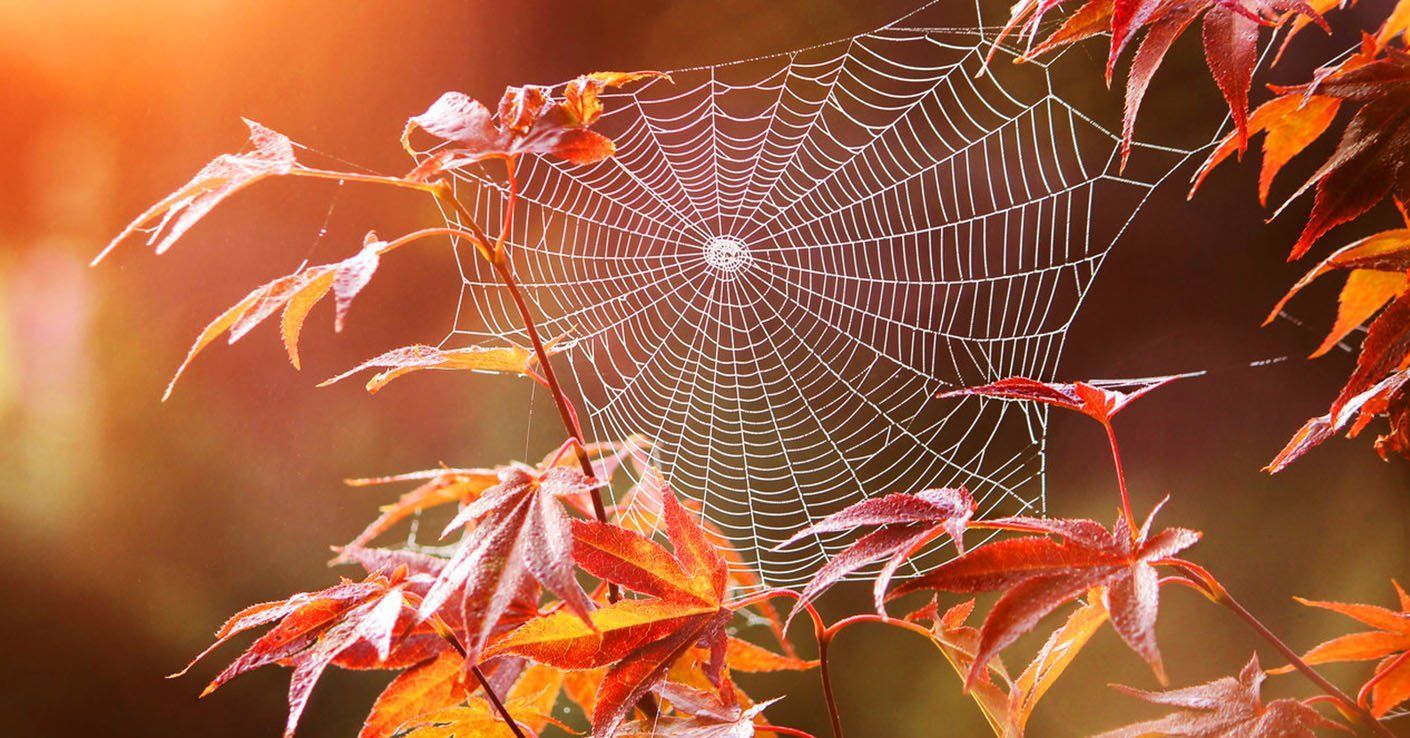 Погода 10 октября 2019 – в Украину возвращается бабье лето Погода 10 октября 2019 – в Украину возвращается бабье лето