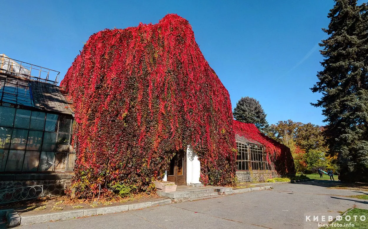 Куди піти на вихідних у Києві Куди піти на вихідних у Києві