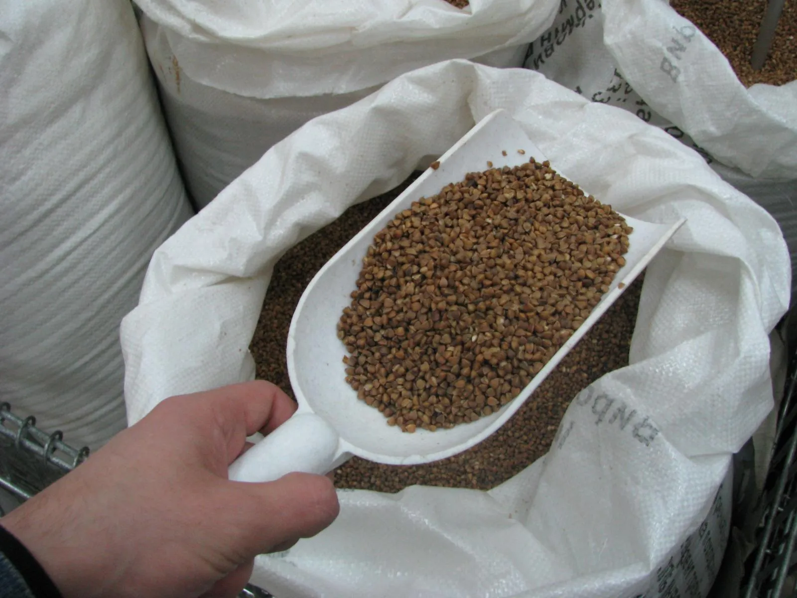 гречка гречка