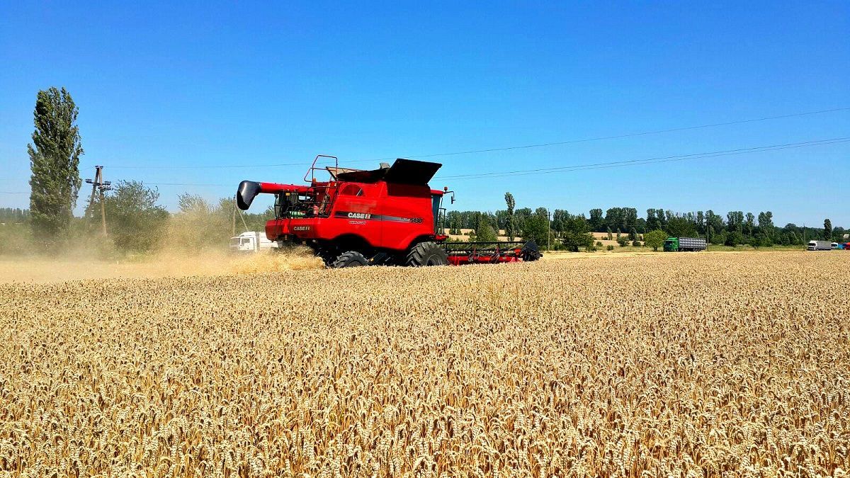 "Відбирає урожай": Центральна Україна може залишитися без хліба через рейдера Вакулика "Відбирає урожай": Центральна Україна може залишитися без хліба через рейдера Вакулика