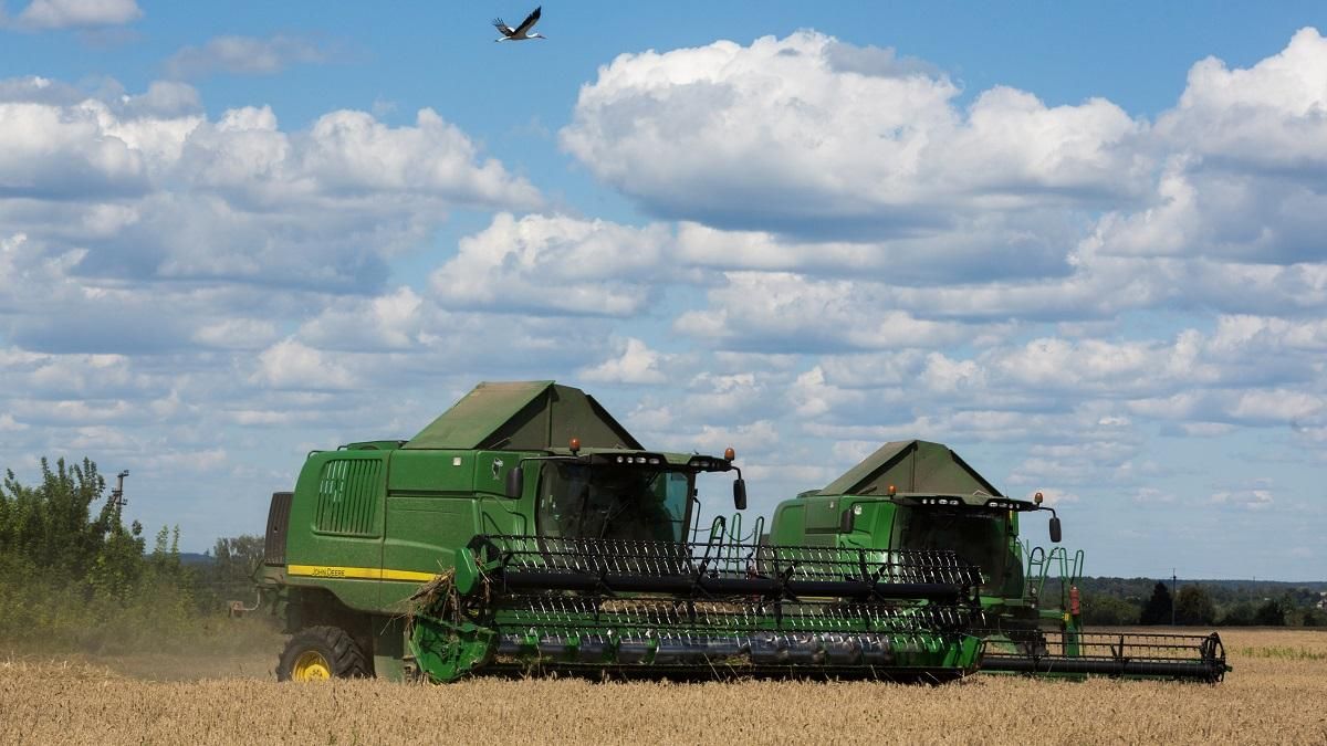 Власне насіння обходиться "Укрлендфармінг" в 4-5 разів дешевше за покупне Власне насіння обходиться "Укрлендфармінг" в 4-5 разів дешевше за покупне