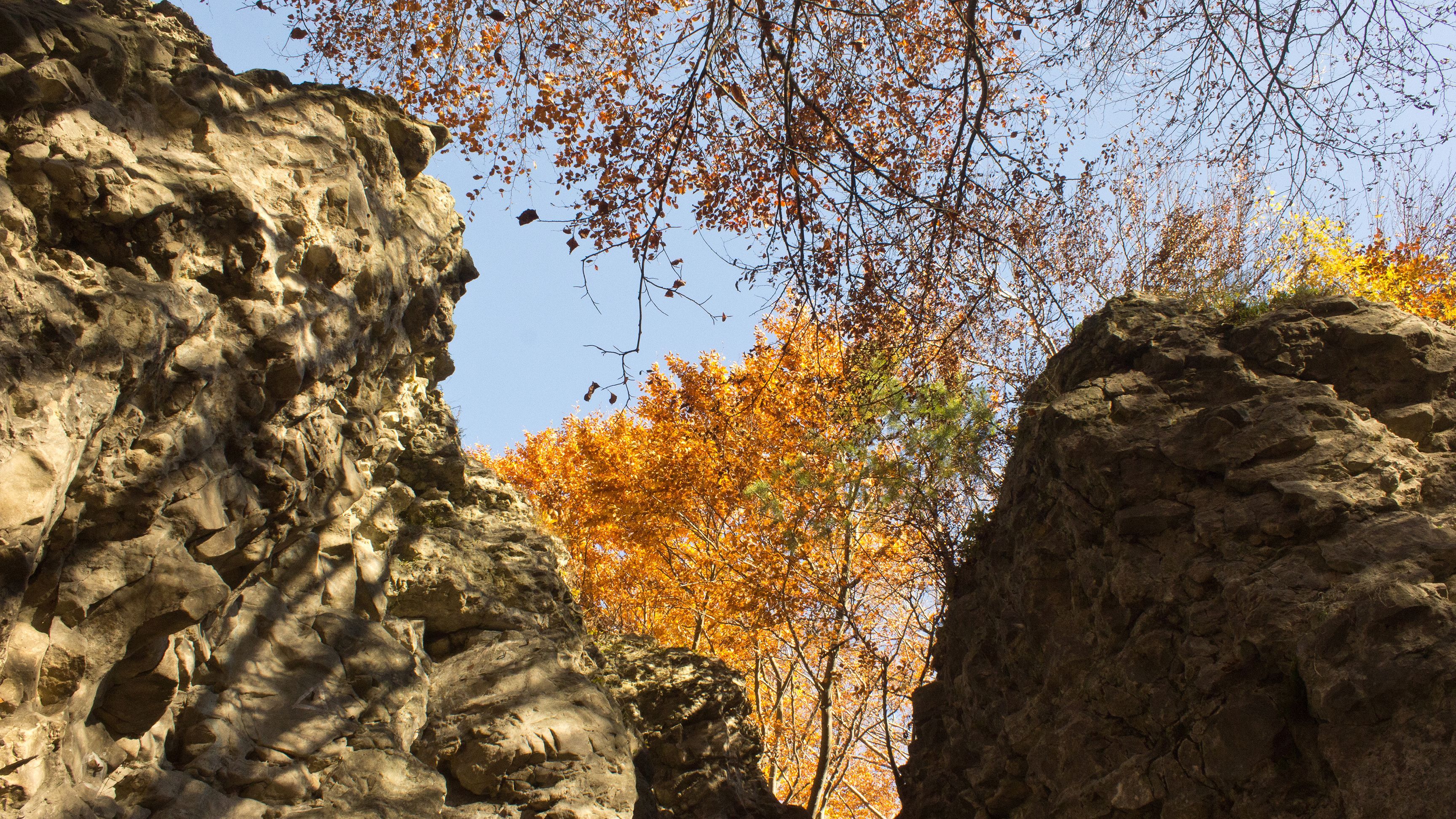 Погода 17 октября 2019 Украина – прогноз погоды синоптика Погода 17 октября 2019 Украина – прогноз погоды синоптика