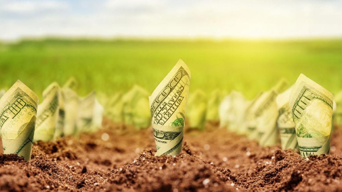 Комітет Ради нашвидкуруч та втиху підтримав альтернативний законопроєкт про ринок землі Комітет Ради нашвидкуруч та втиху підтримав альтернативний законопроєкт про ринок землі