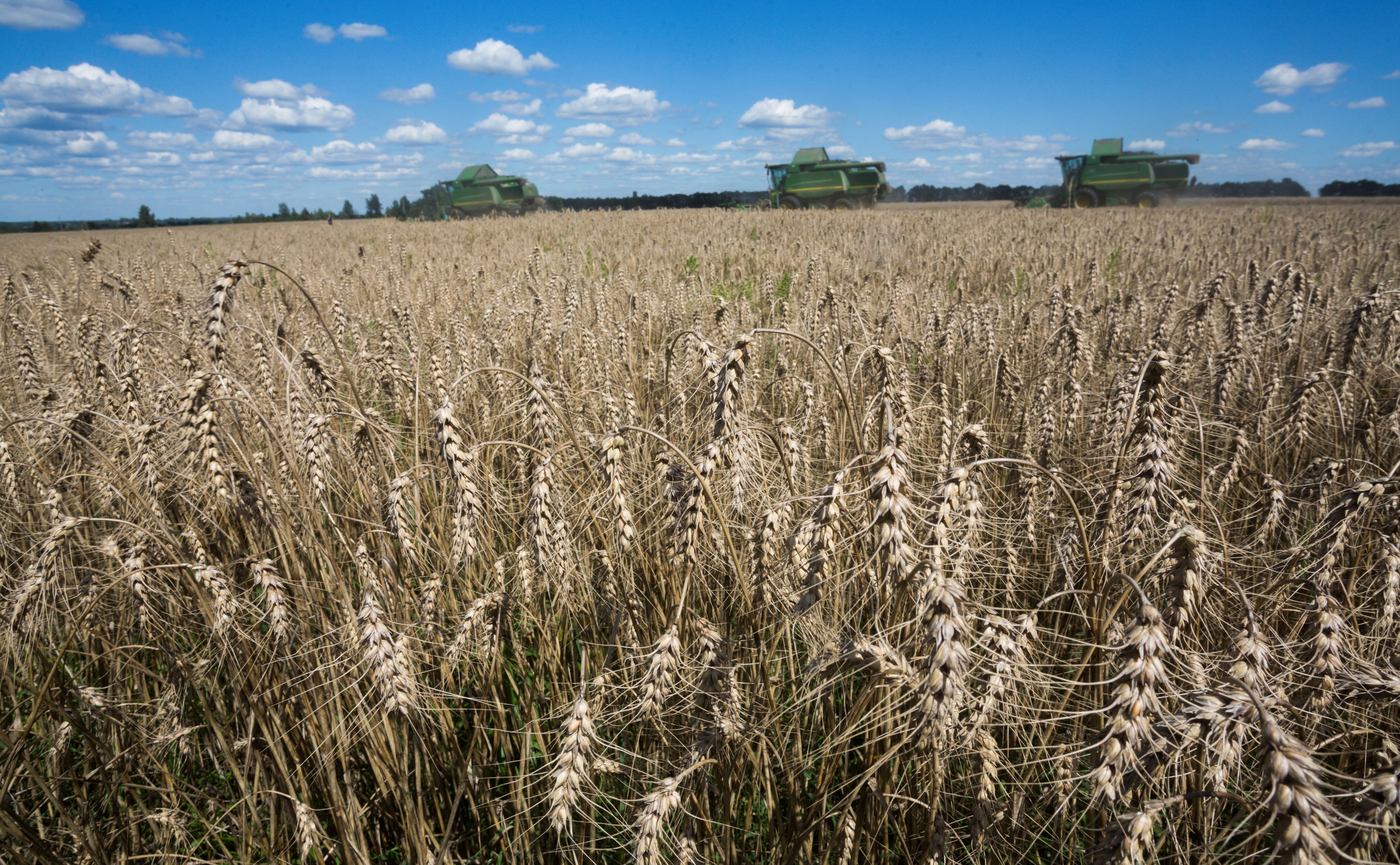 Ukrlandfarming: инновации повышают урожайность посевов