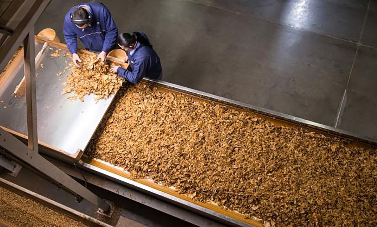 Производство сигарет остановил один из крупнейших налогоплательщиков в Украине Производство сигарет остановил один из крупнейших налогоплательщиков в Украине